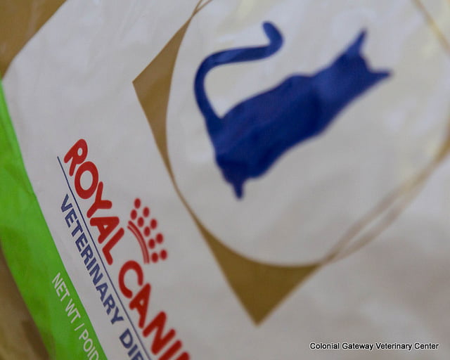 Royal Canin macskatáp